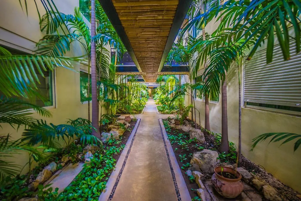 Meridian Downtown Apartments Playa del Carmen