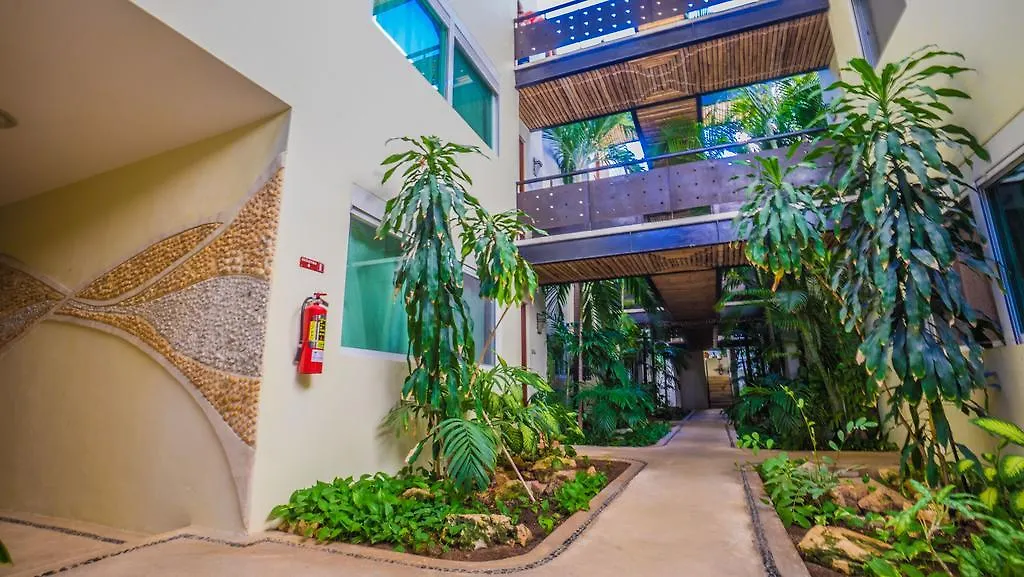 Meridian Downtown Apartments Playa del Carmen 0*,